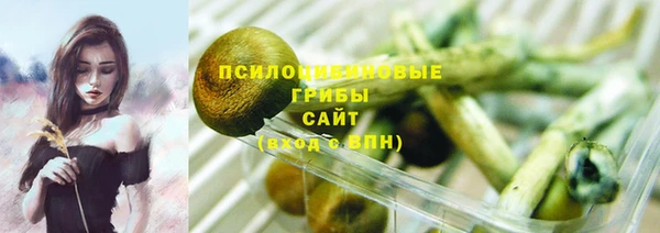таблы Алзамай