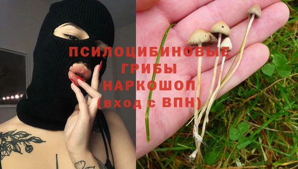 таблы Алзамай