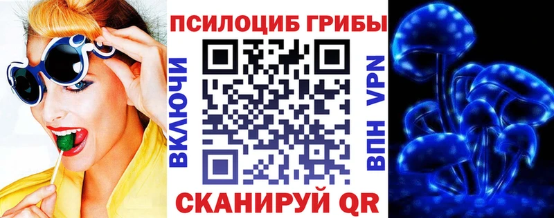 где купить   Орлов  Галлюциногенные грибы GOLDEN TEACHER 
